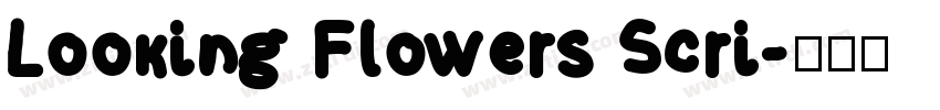 Looking Flowers Scri字体转换